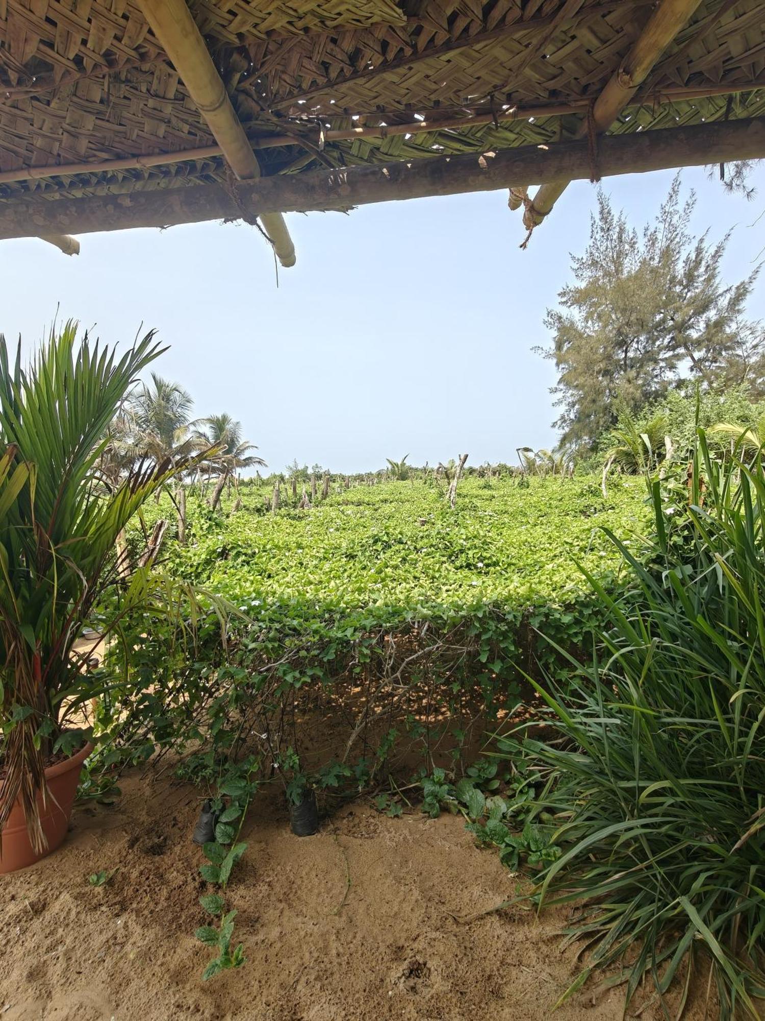 Nakshatra Beach Stay Gokarna  Bagian luar foto